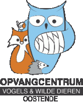 opvangcentrum